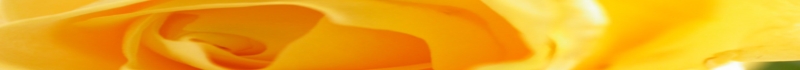 C[Wʐ^1